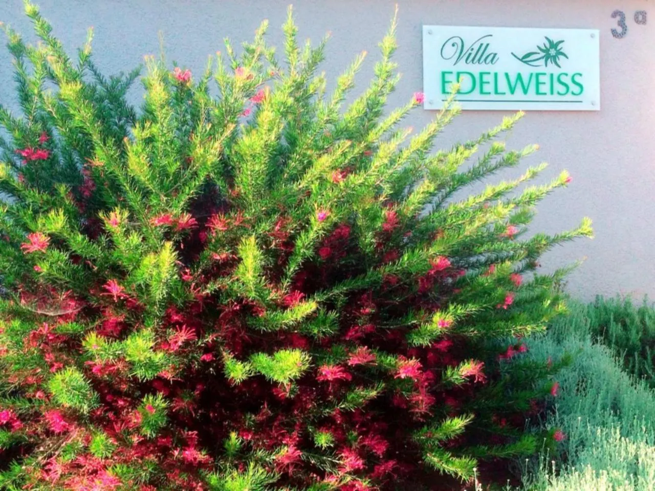 Villa Edelweiss Veprinac 0*,  Croatia